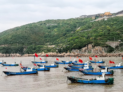 嵊泗海岛外的捕鱼船大队夏天高清图片素材