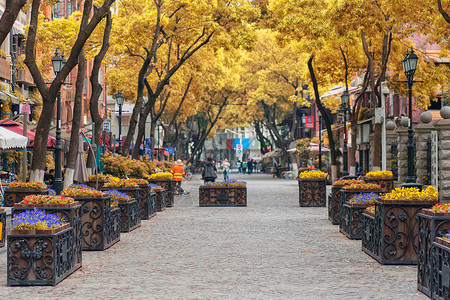 秋天的街道武汉汉口文艺步行街黎黄陂路背景