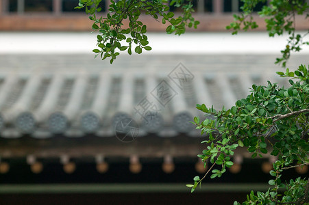 佛系元素中国风庭院设计背景