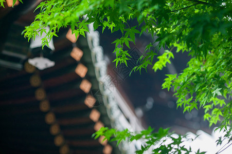 古风楼宇素材中国风庭院设计背景