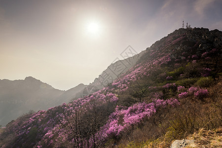 大连大黑山日出高清图片