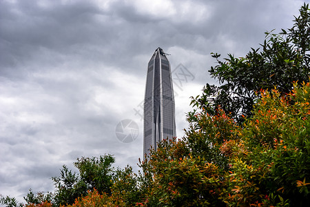 光大大厦深圳城市建筑风光背景