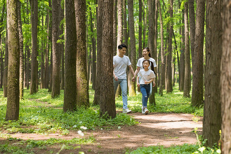 一家人森林一家人公园里奔跑背景