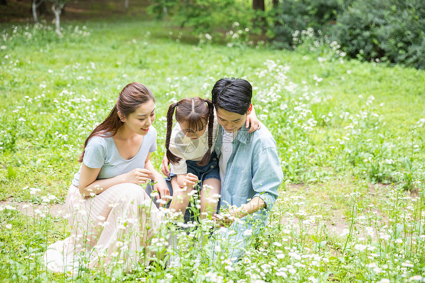 一家人花丛中欣赏图片