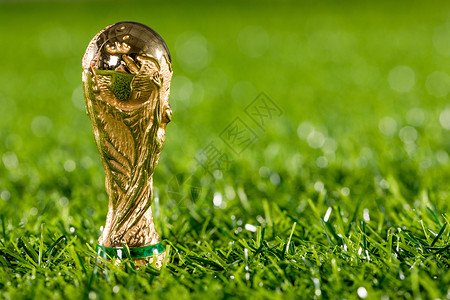足球冠军草地上的世界杯奖杯背景