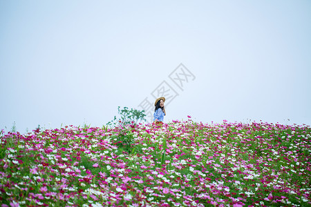 花团锦簇的猬实花团锦簇围绕的美女写真背景