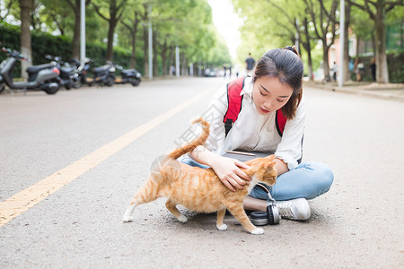 逗猫女孩毕业季青春学生和猫背景