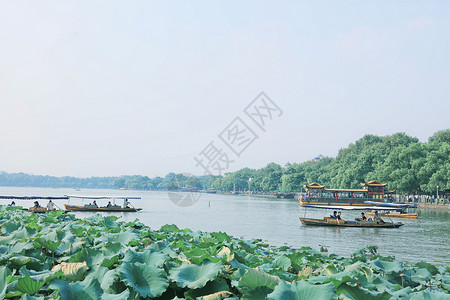 杭州西湖泛舟图片