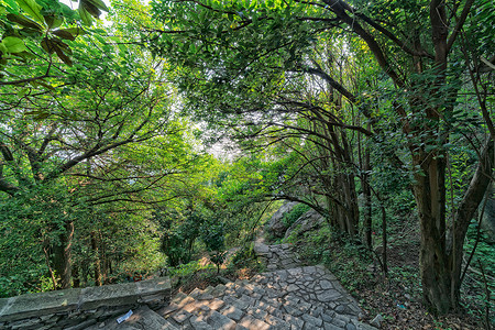 上山路武汉避暑胜地木兰山上山的路背景