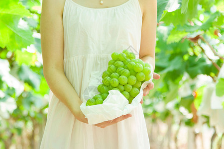 绿葡萄食材高清图片素材