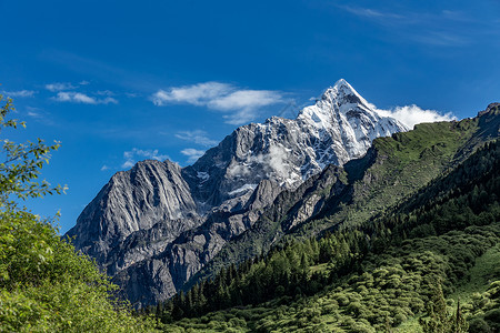 雪山树林四川四姑娘山背景