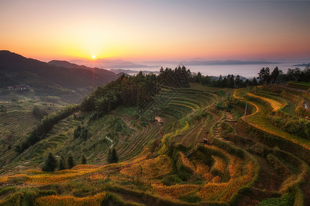 紫柏山梯田日出背景