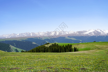 新疆喀拉峻大草原高清图片