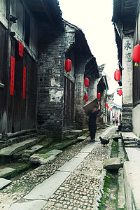 江西渼陂古村风景风光图片