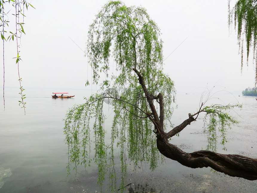 春到东湖图片