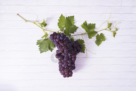 葡萄 葡萄酒原料图片