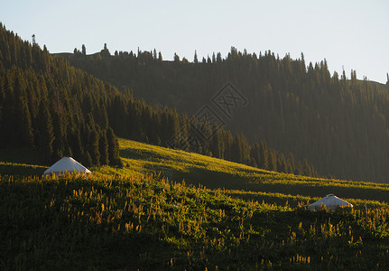 黄昏山景山上蒙古包背景