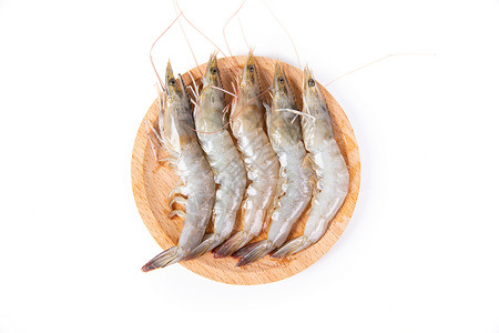 基围虾料理虾卵高清图片