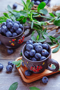 素材高清水果蓝莓背景
