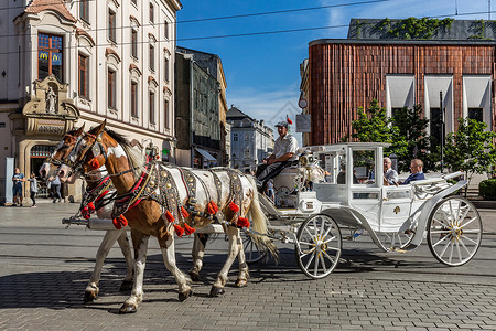 联合国成立波兰克拉科夫老城城市游览马车背景
