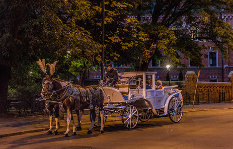 波兰克拉科夫老城城市游览马车高清图片