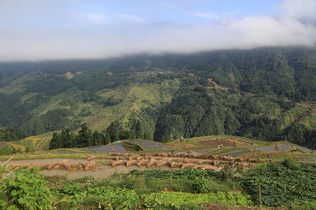 贵州乌蒙大草加榜梯田背景