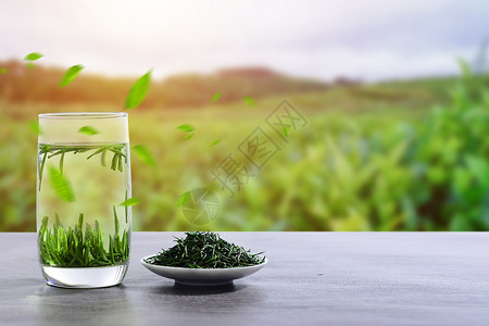 植物茶茶文化设计图片