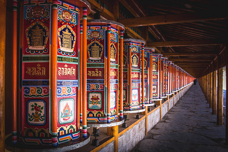 西藏转金筒忠于信仰高清图片
