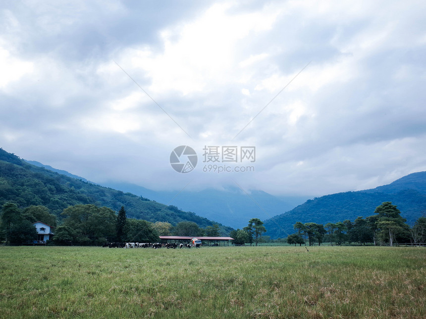 台湾纵谷线瑞穗牧场图片