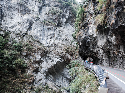 印度悬崖燕子台湾太鲁阁国家公园背景