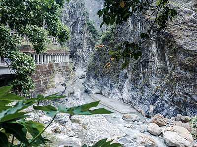 大燕子台湾太鲁阁国家公园背景