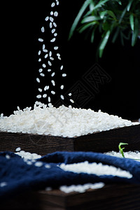 东北大米有机豌豆米高清图片