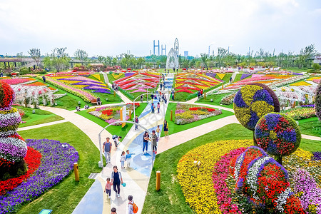 上海浦江郊野公园花展背景