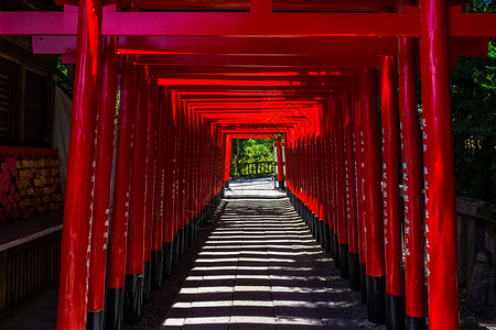 日本犬山城犬山神社鸟居背景图片