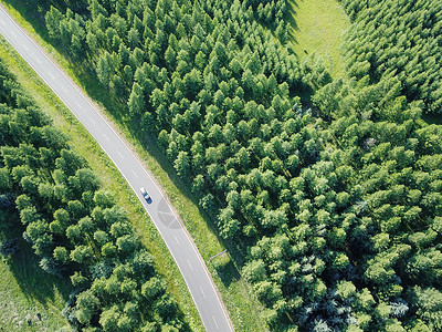 绿色环保汽车航拍乌兰布统森林公路背景