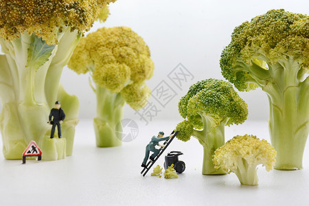 创意蔬菜食物图片