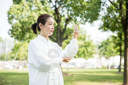 长寿树老年人太极锻炼背景