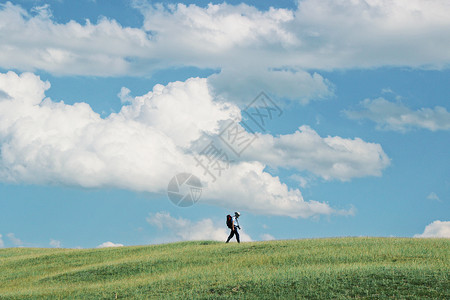 盛夏派对新疆巴音布鲁克草原背景