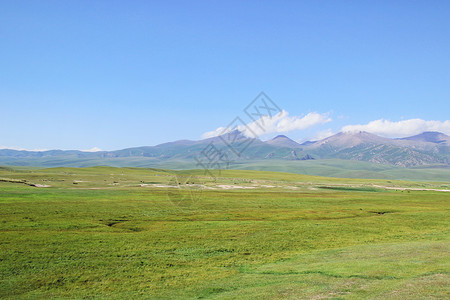 盛夏旅行新疆巴音布鲁克草原背景