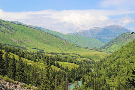 河谷新疆喀纳斯山谷背景