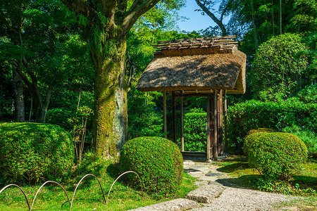 日本犬山市如庵茶室园林高清图片素材