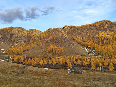内蒙古莫尔道嘎国家森林公园秋色高清图片