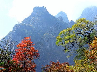 十里仙境燕子沟背景图片