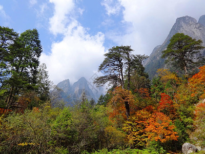 游山玩水十里仙境燕子沟背景