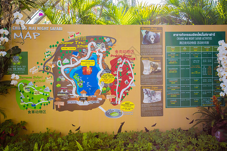地图展示清迈夜间动物园地图背景