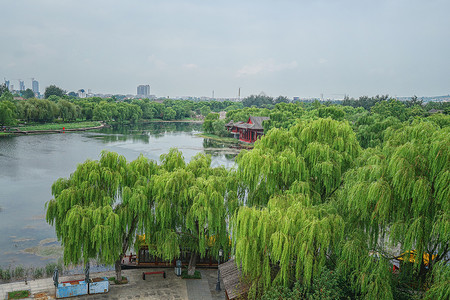 济南章丘百脉泉风景区背景图片