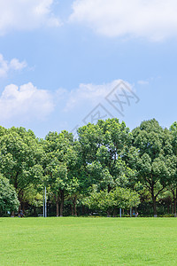 绿化工程大学校园草地背景