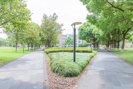 绿化工程大学校园绿化背景