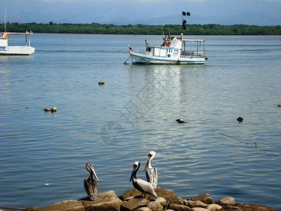哥斯达黎加渔港风光图片