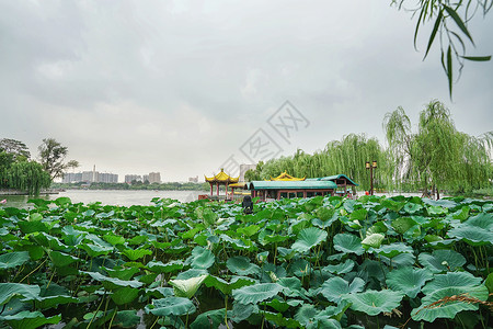 济南大明湖风景区高清图片